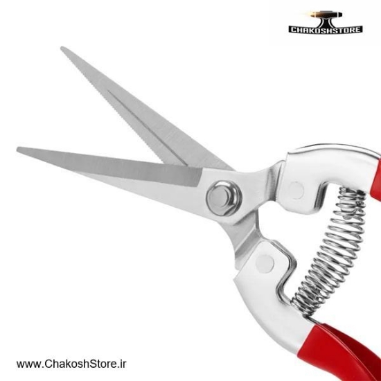 تصویر   قیچی میوه چین رونیکس مدل RH-3150