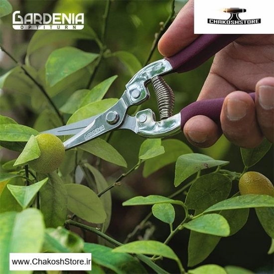 تصویر   قیچی میوه چین گاردنیا GH-5101